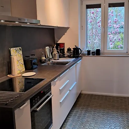 Wohnung Medicus, 3 Zkb, Balkon, Garten, Naehe Stadtpark, Ruhig Kaiserslautern Exterior photo