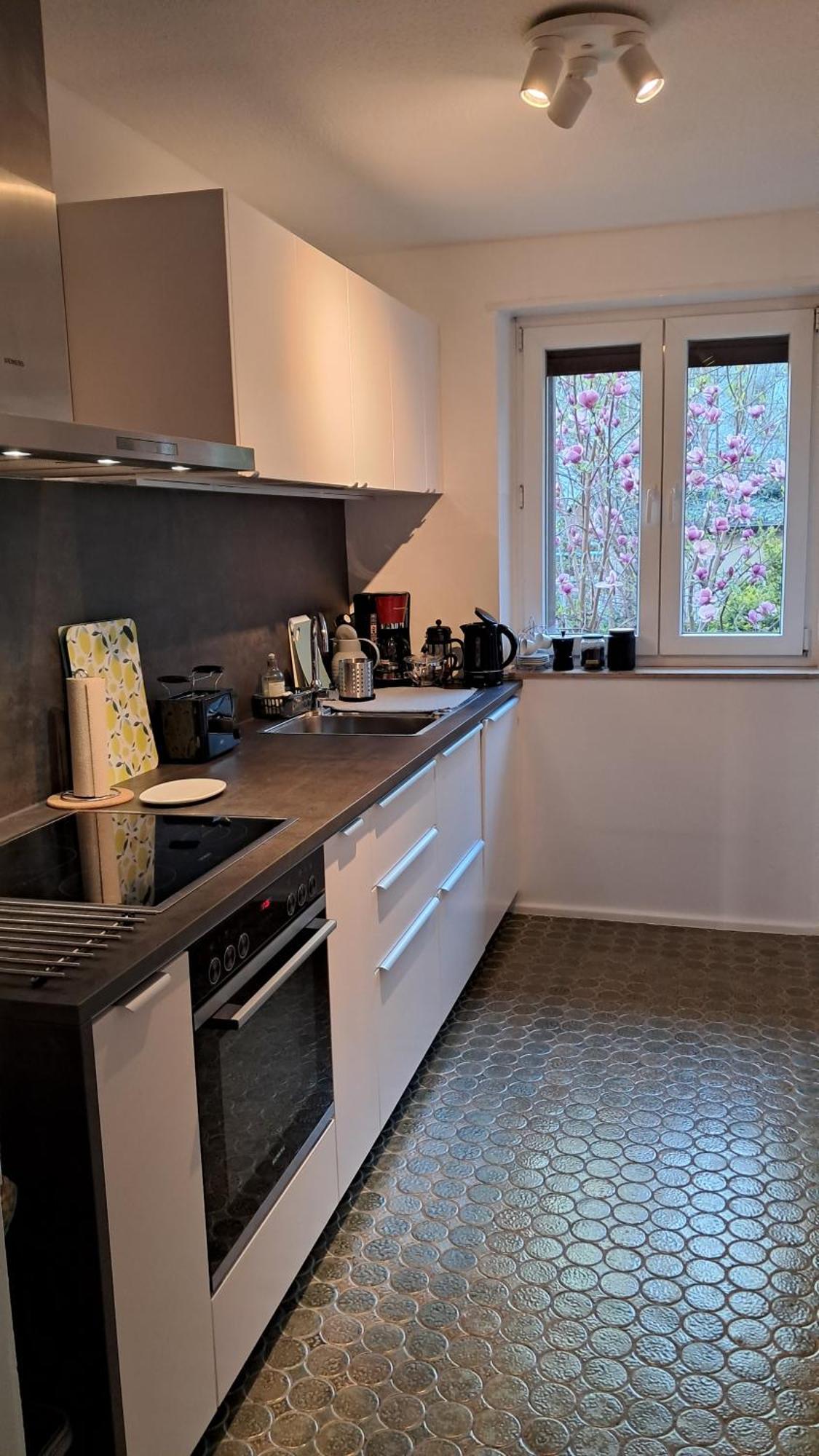 Medicus, 3 Zkb, Balkon, Garten, Naehe Stadtpark, Ruhig Apartment *