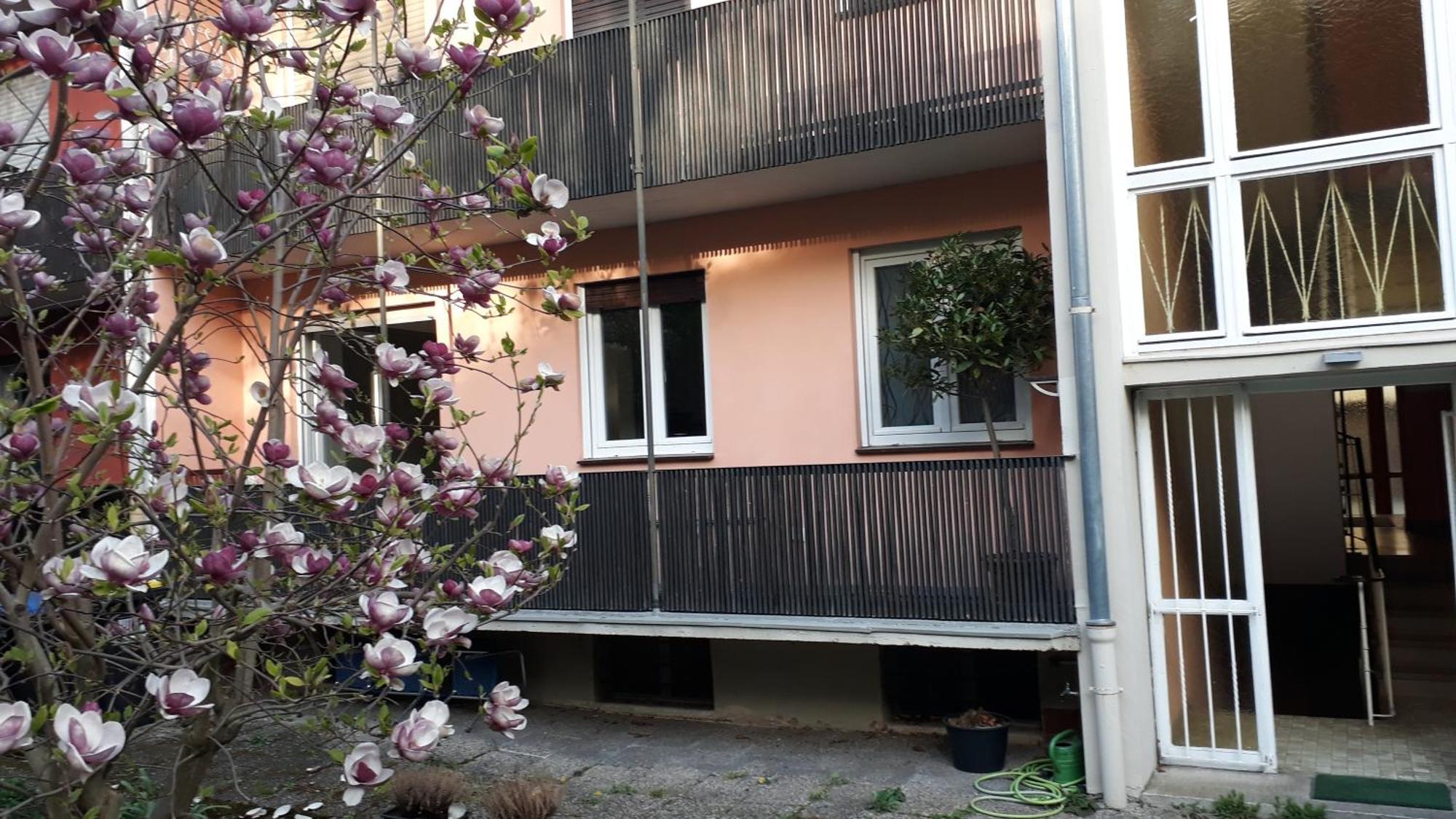 Medicus, 3 Zkb, Balkon, Garten, Naehe Stadtpark, Ruhig Apartment Kaiserslautern